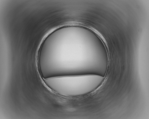 X0000112901437200908211041