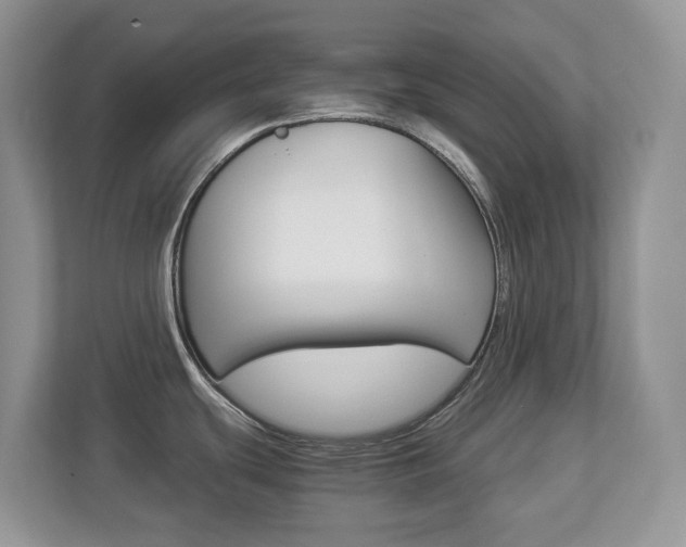 X0000112901439200908211041