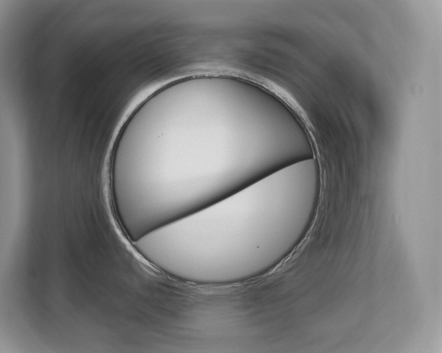 X0000112901440200908211041