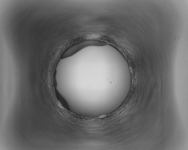 X0000112901441200908211041