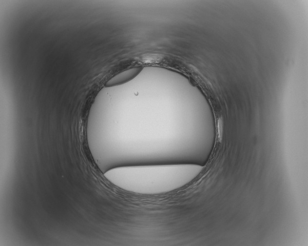 X0000112901443200908211041