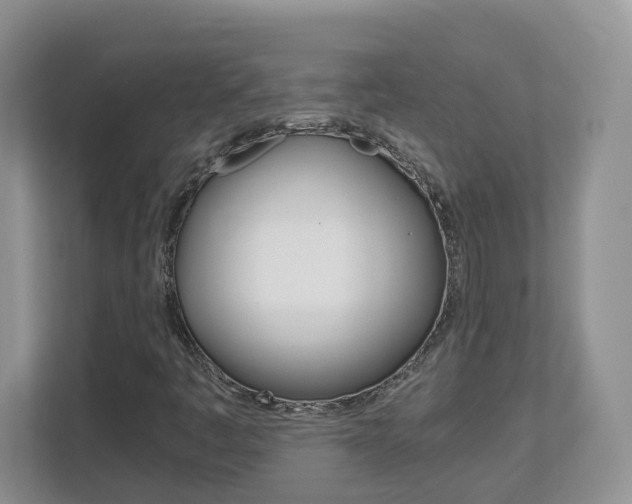 X0000112901445200908211041