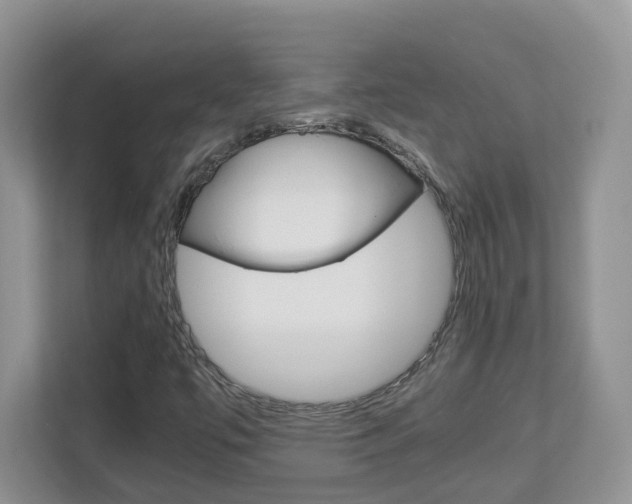 X0000112901447200908211041