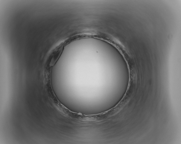 X0000112901448200908211041
