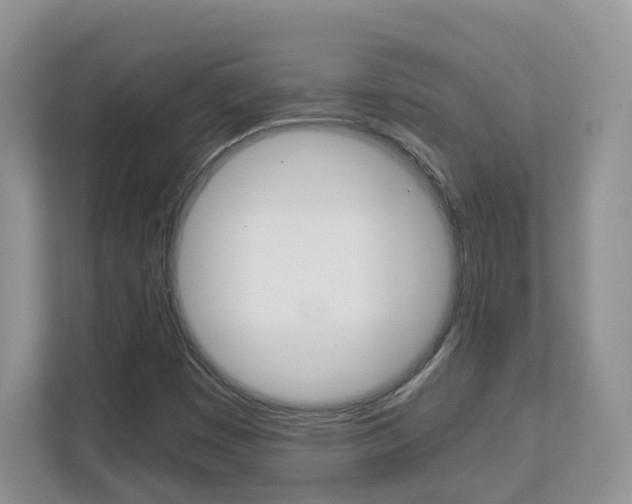 X0000112901449200908211041
