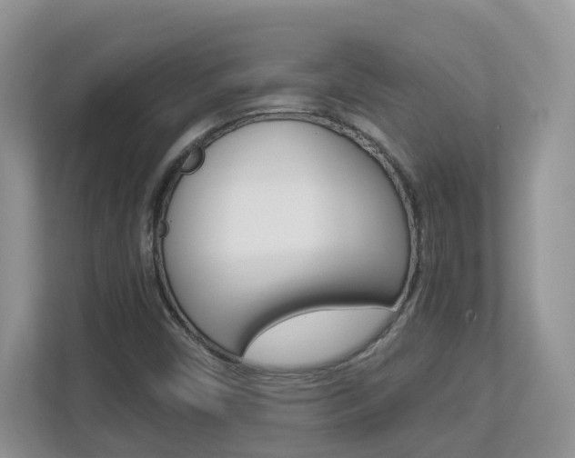 X0000112901450200908211041