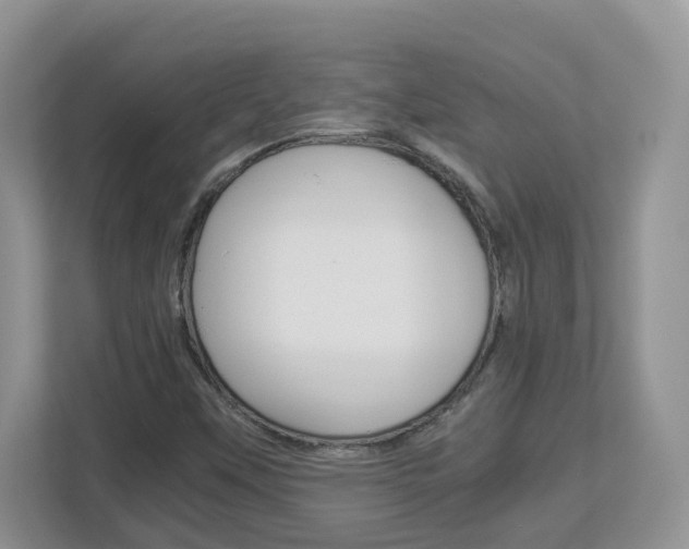 X0000112901451200908211041