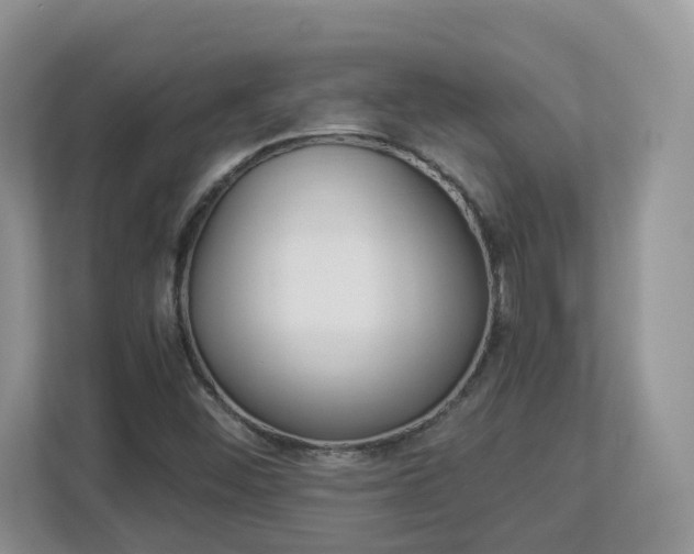 X0000112901452200908211041