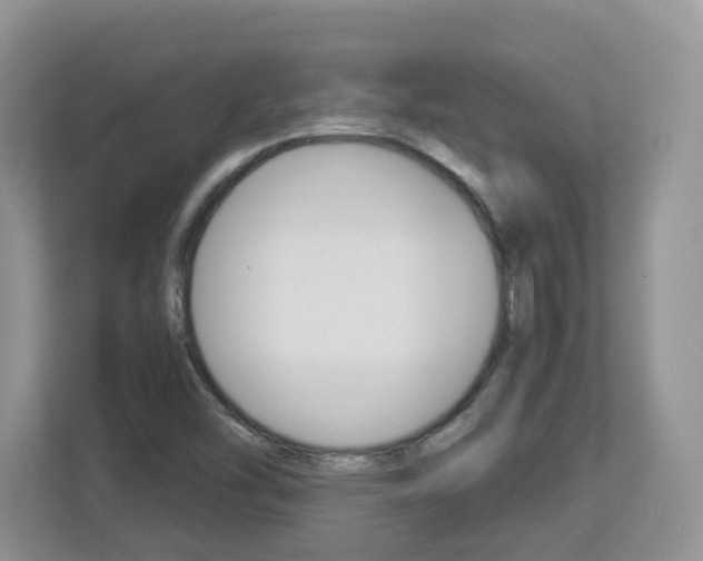 X0000112901454200908211041