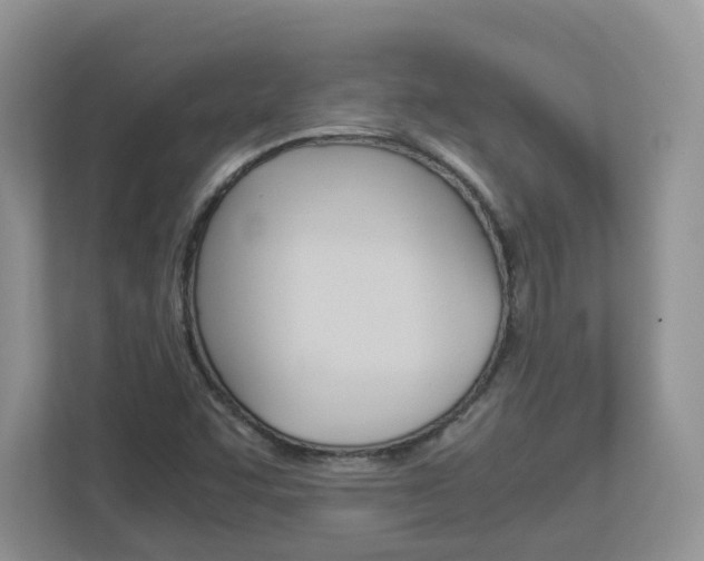 X0000112901455200908211041