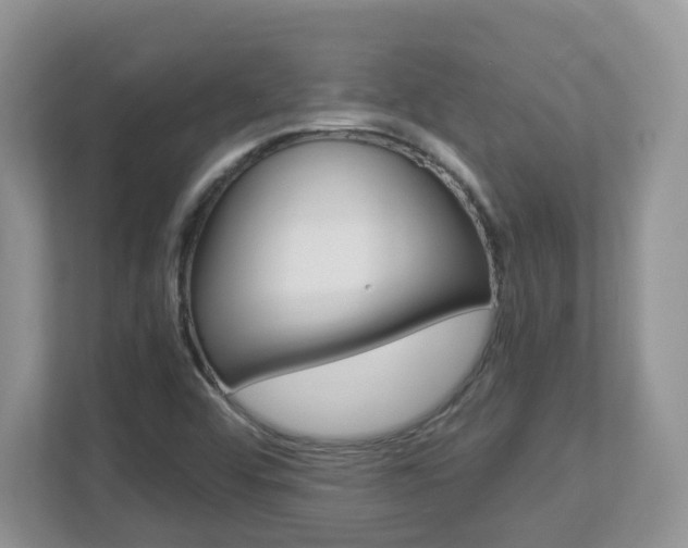 X0000112901456200908211040