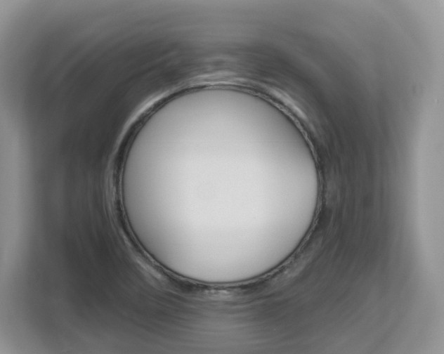 X0000112901458200908211040