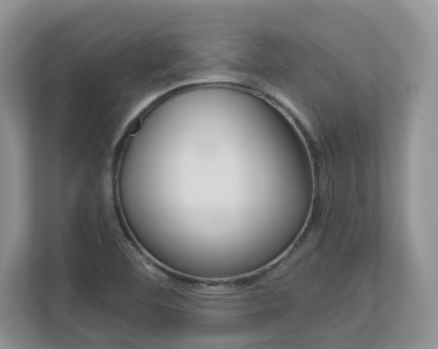 X0000112901460200908211040