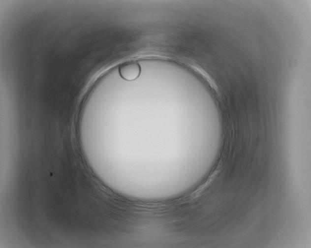 X0000112901461200908211040