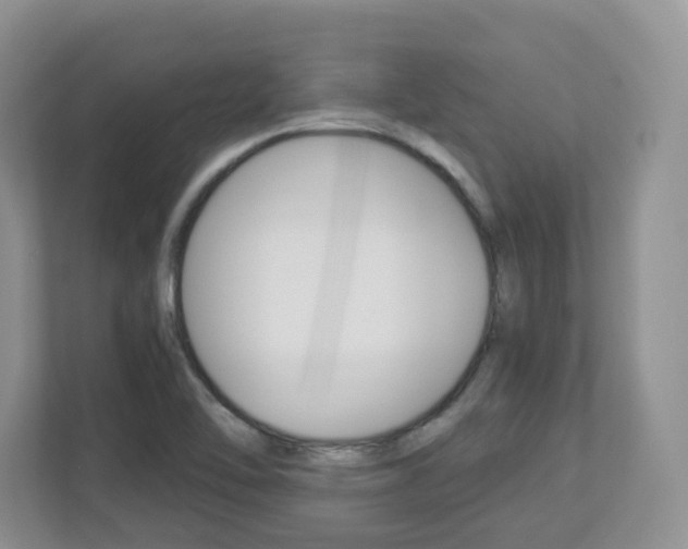 X0000112901462200908211040