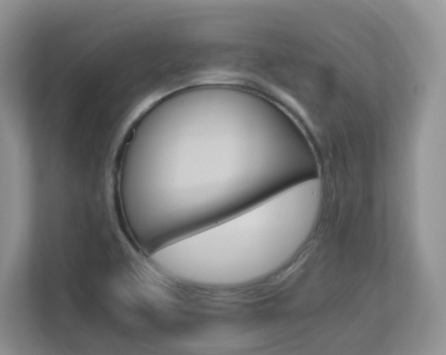 X0000112901463200908211040