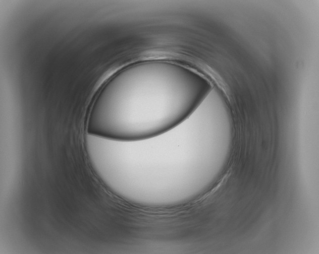 X0000112901465200908211040
