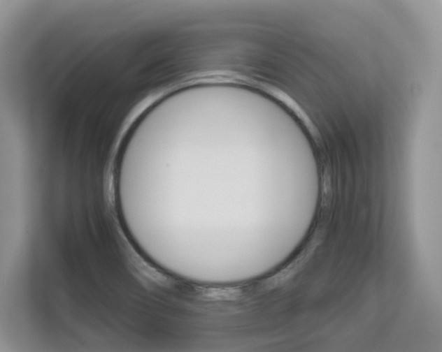 X0000112901466200908211040