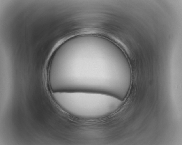 X0000112901467200908211040