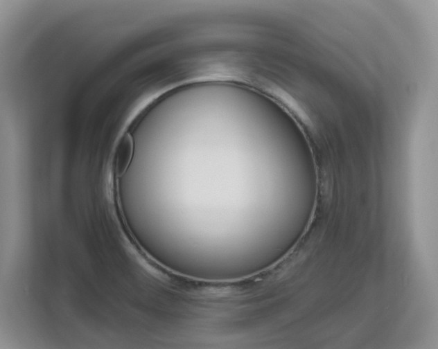 X0000112901468200908211040