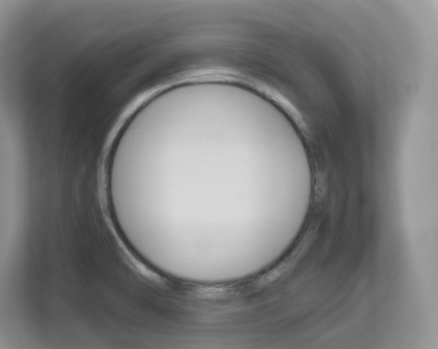 X0000112901470200908211040