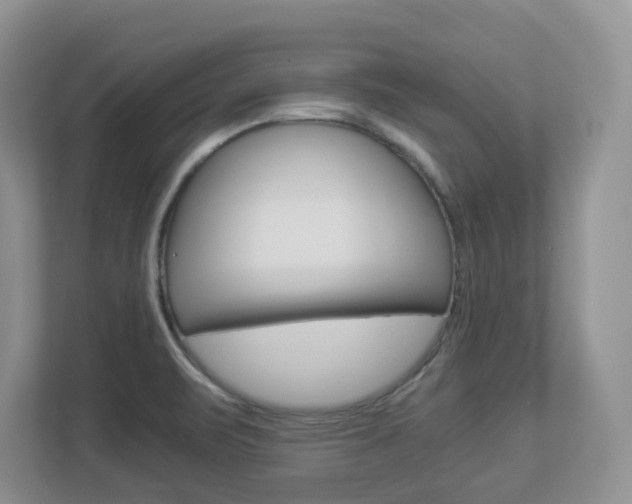 X0000112901471200908211040