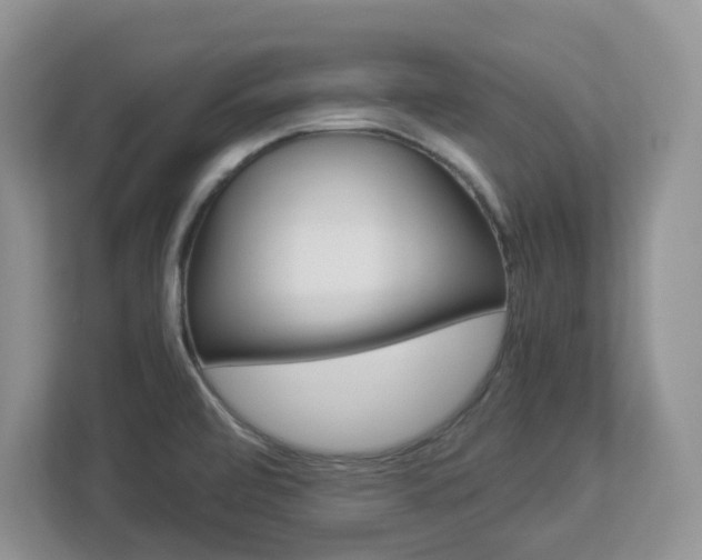 X0000112901472200908211040