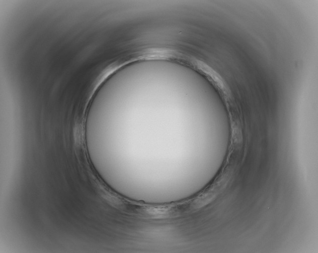 X0000112901473200908211040
