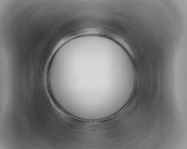 X0000112901475200908211040