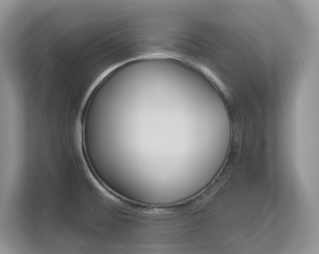 X0000112901476200908211040