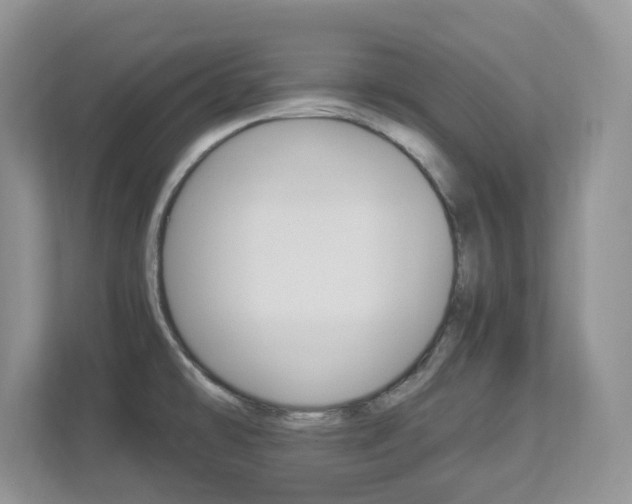 X0000112901478200908211040