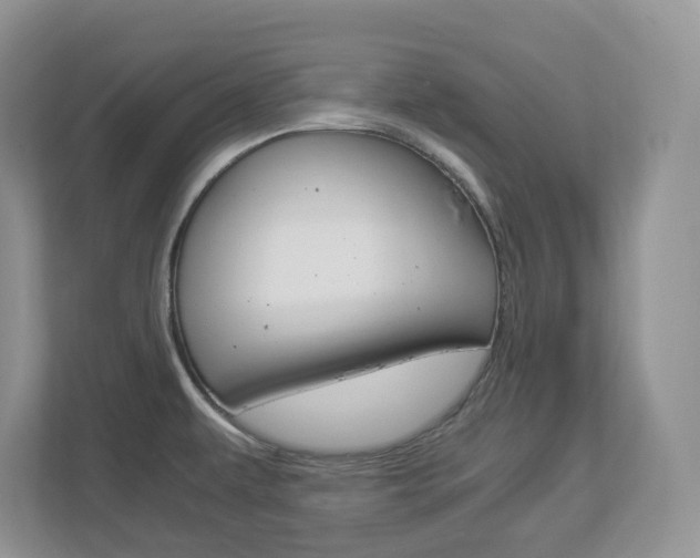 X0000112901479200908211040