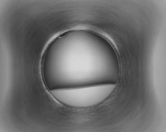 X0000112901480200908211040