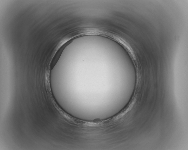 X0000112901481200908211040