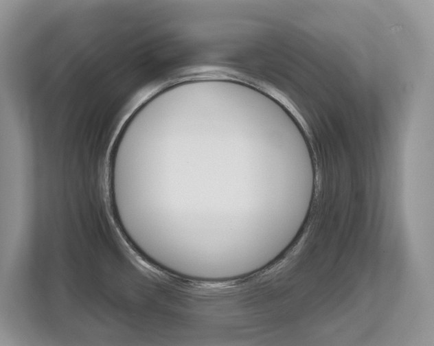 X0000112901482200908211040