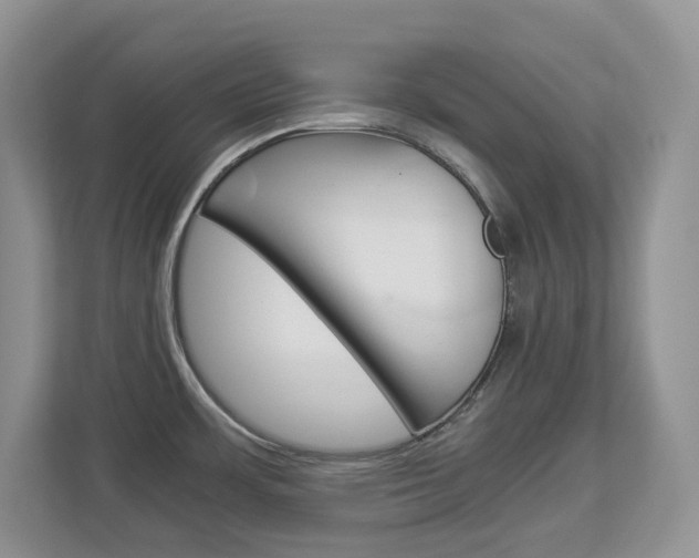 X0000112901483200908211040