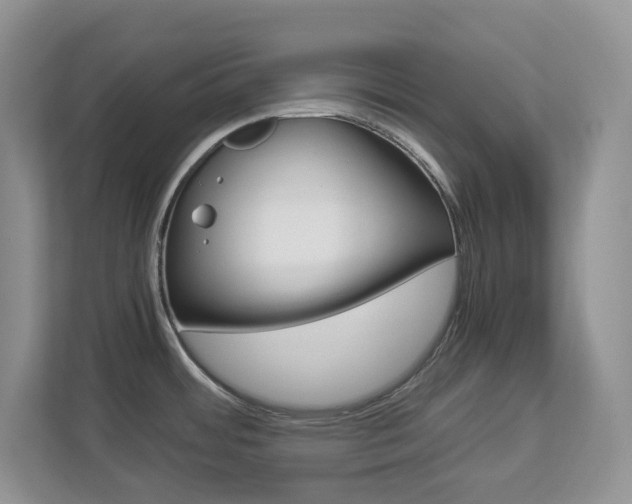 X0000112901484200908211040