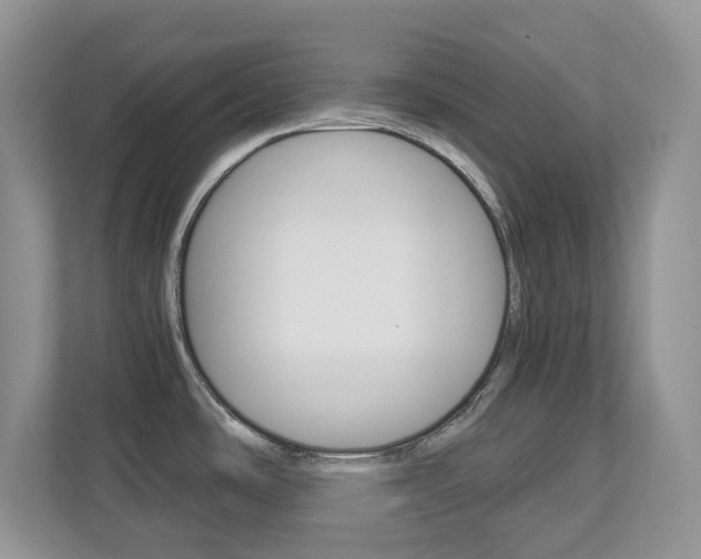 X0000112901486200908211040