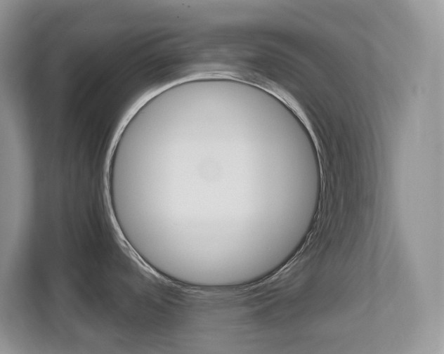 X0000112901488200908211040