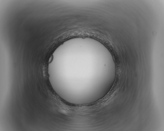 X0000112901490200908211039