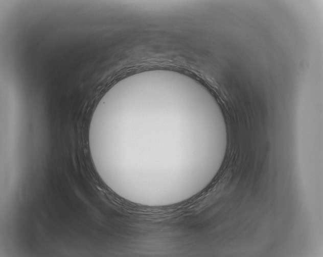X0000112901492200908211039