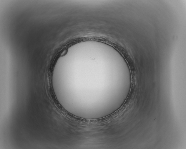 X0000112901493200908211040