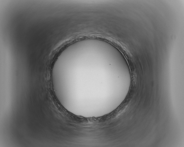 X0000112901494200908211040