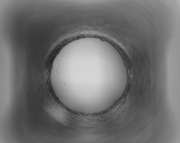 X0000112901495200908211040