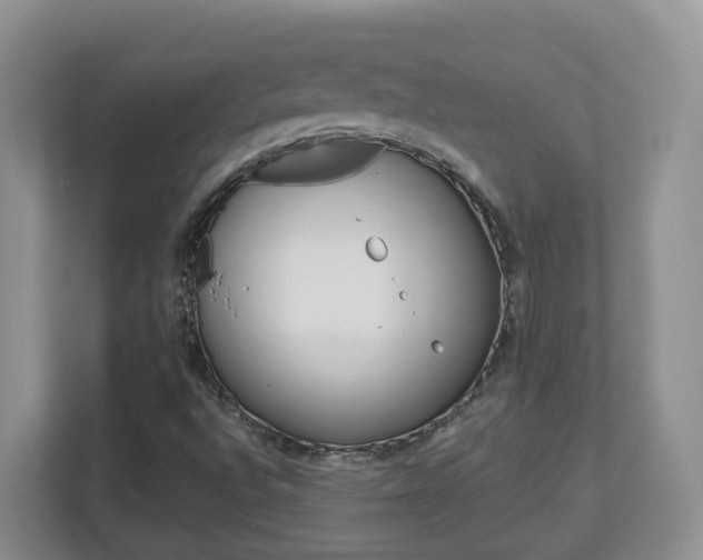 X0000112901496200908211040