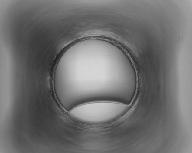 X0000112901497200908211040