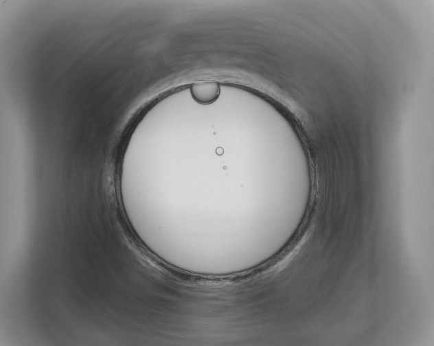 X0000112901498200908211040