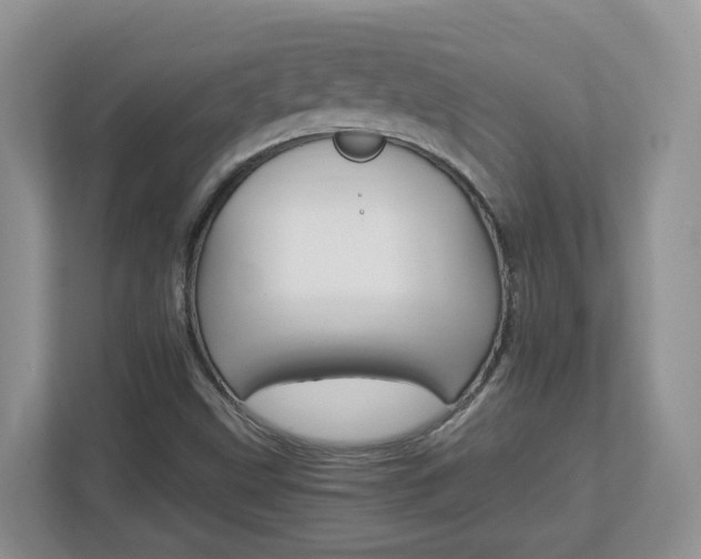 X0000112901499200908211040