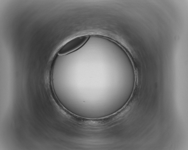 X0000112901500200908211040