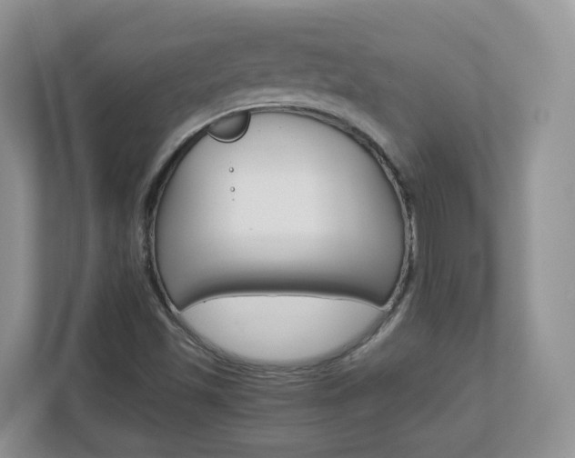 X0000112901501200908211040